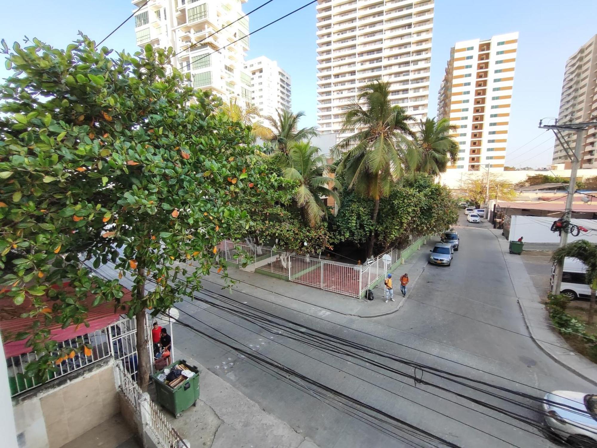 Manglares Marbella *